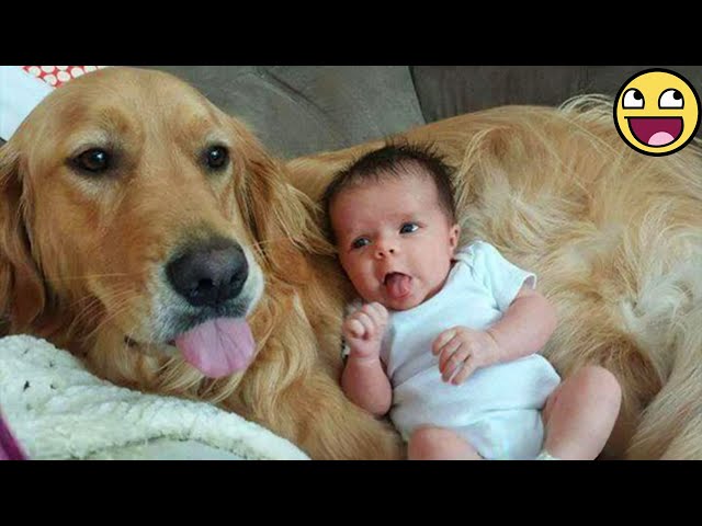Watch Animals and Babies Share Pure Love for 30 Minutes 🐶❤️👶