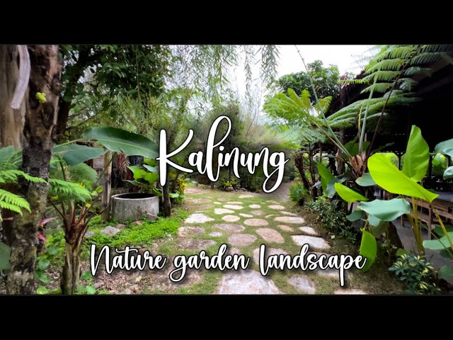 Cozy place vintage tropical garden 🌿🌴🌺 nature landscape