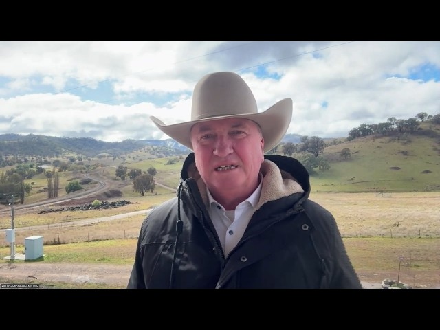 ‘Not the right attitude’: Barnaby Joyce blasts ‘lazy’ Australians choosing not to work