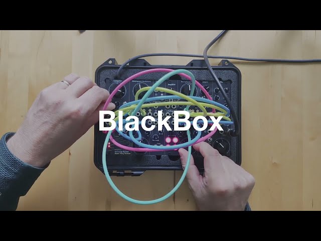 BlackBox: a card for the Music Thing Modular Workshop System