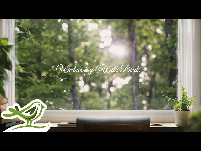 Peder B. Helland - Wednesday (With Birds) | 1 Hour of Peaceful & Soft Piano Music