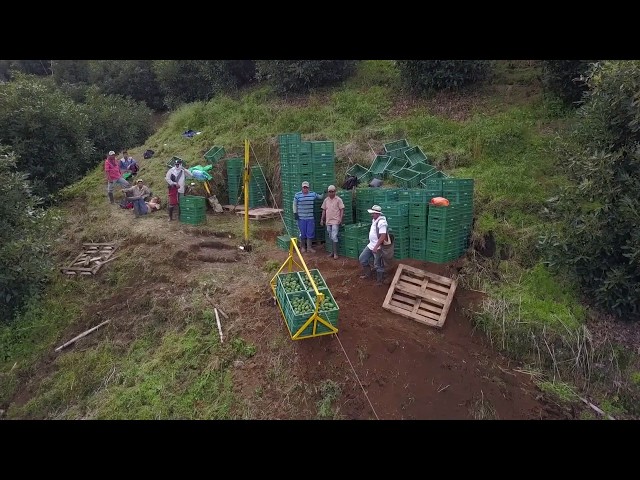Finca El Pentágono - Jardin Exotics
