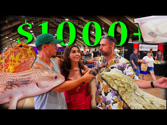 How Much are people PAYING for Animals at the Reptile Super Show in 2025