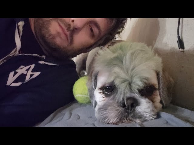 01/11/24 - Day 11 - A.I. Revisited (Unscripted Scripted Comedy)