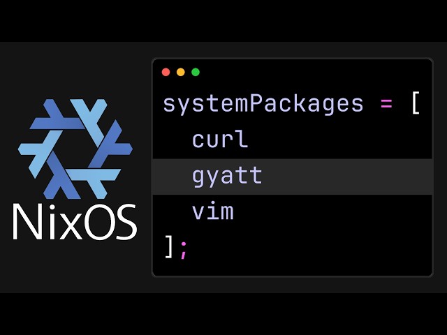 Custom Shell Script in NixOS ??