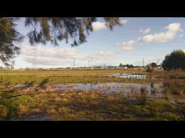 15 July 2017 - Start of bridge construction