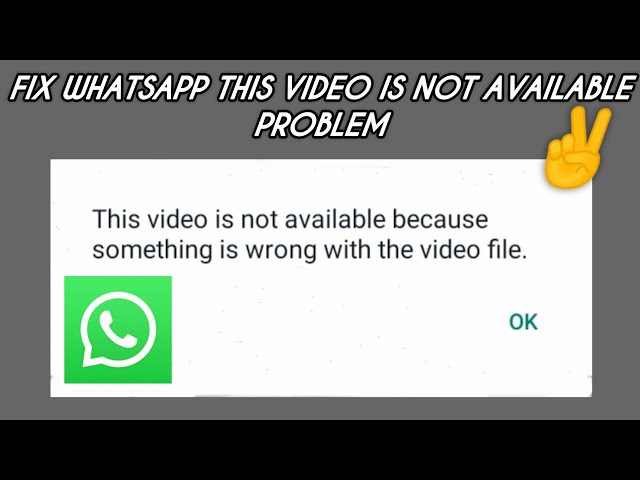 Fix WhatsApp 'This video is not available' Problem || TECH SOLUTIONS BAR