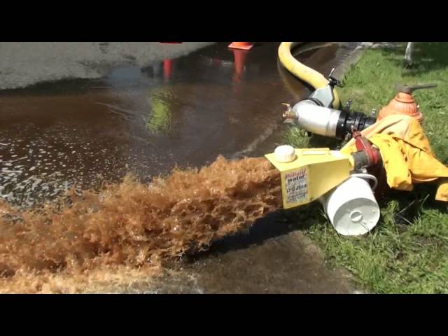 Uni-directional flushing