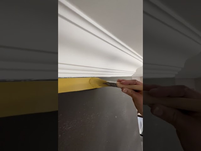 CUTTING IN LIKE A PRO #paintwarrior #youtube #ytshorts #viral #tips