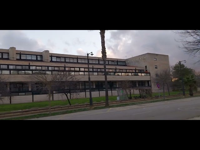 Vlog (9) Paseando Por La (Uib) Universidad De Las Islas Baleares De Palma De Mallorca.