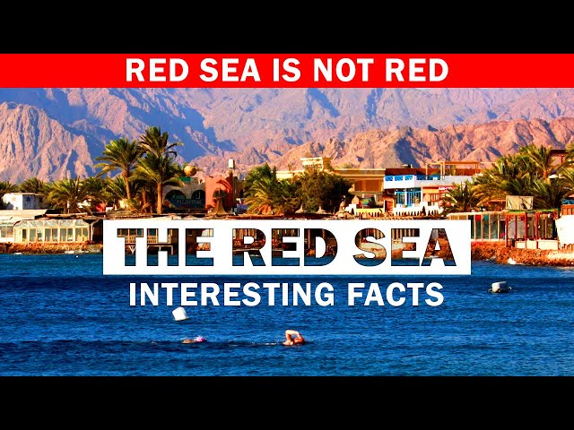 13 Fascinating Facts About The Red Sea