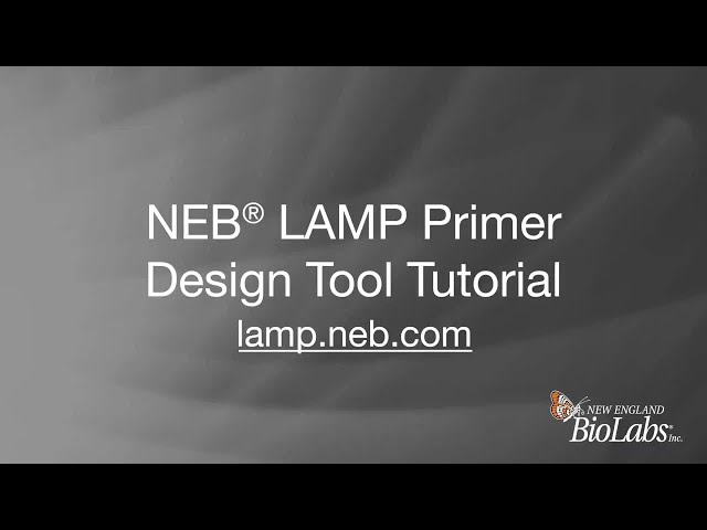 NEB® LAMP Primer Design Tool Tutorial