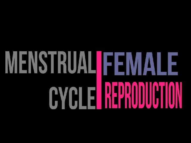 MENSTRUAL CYCLE | FEMALE REPRODUCTIVE SYSTEM | PART IV