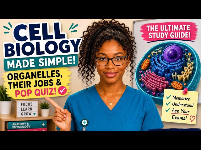 Cell Biology| Organelles and Their Jobs