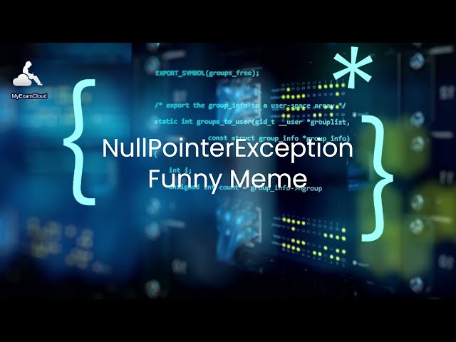 Java NullPointerException - funny meme