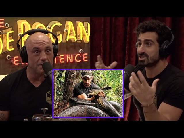 Paul Rosolie Getting Nearly EATEN ALIVE By GIANT Anaconda | Joe Rogan Experience