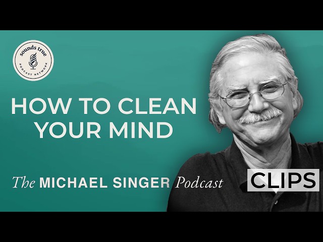 Relax and Release: How to Purify Your Inner Self | The Michael Singer Podcast Clips