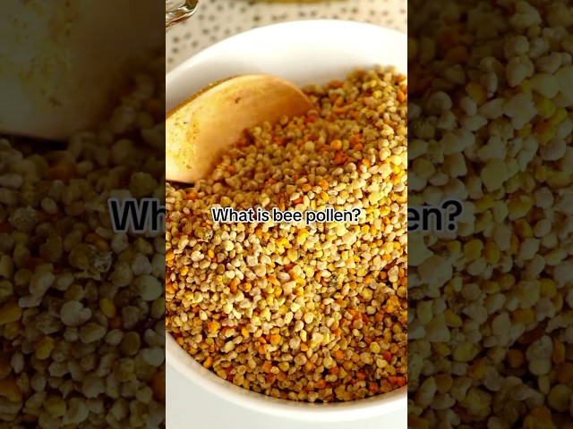 What is bee pollen? 🐝
