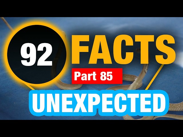 92 Unbelievable Facts | Amazing Random Facts