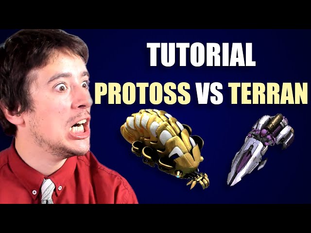Protoss vs. Terran Tutorial Part 1 - Beginner F-E-D Ranks