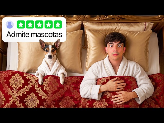 I Tried the Best Dog Hotels in Spain