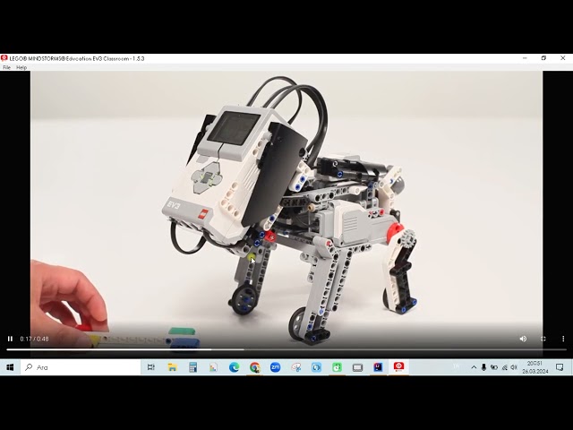 18 Robot Puppy