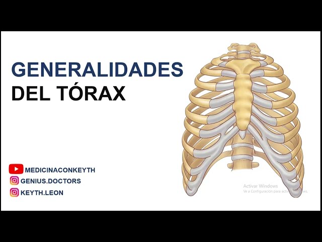 GENERALIDADES DE LA CAVIDAD TORÁCICA | Caja torácica, tórax oseo, músculos del tórax | Keyth León