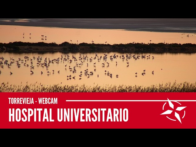 Laguna de Torrevieja. Hospital Universitario. Webcam de Torrevieja