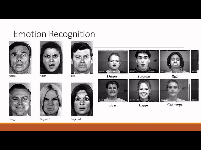 Emotion Recognition by Facial Expression (Team 3244 2010 0004)