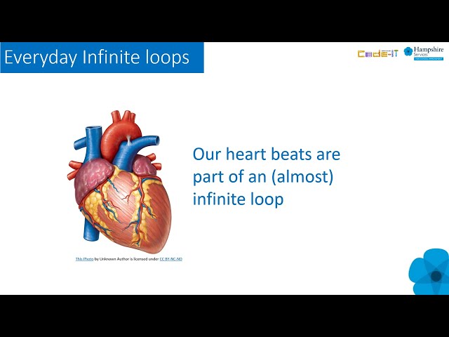Understanding infinite loops in algorithm & code