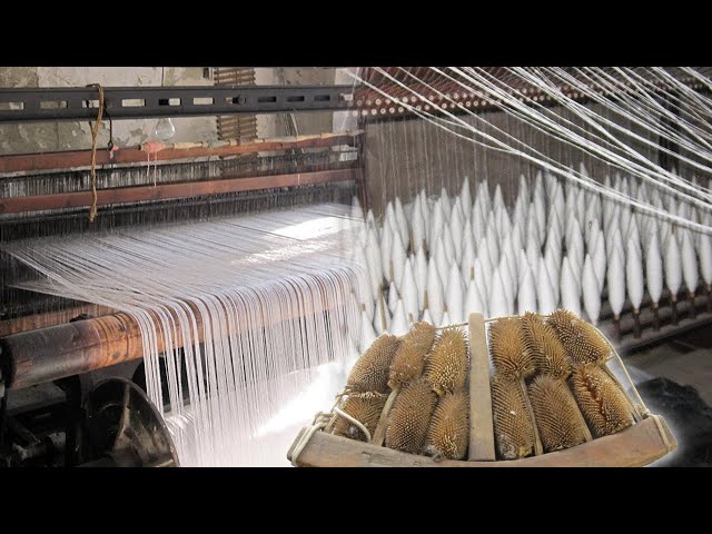 Industria y maquinaria textil tradicional | Oficios Perdidos | Documental