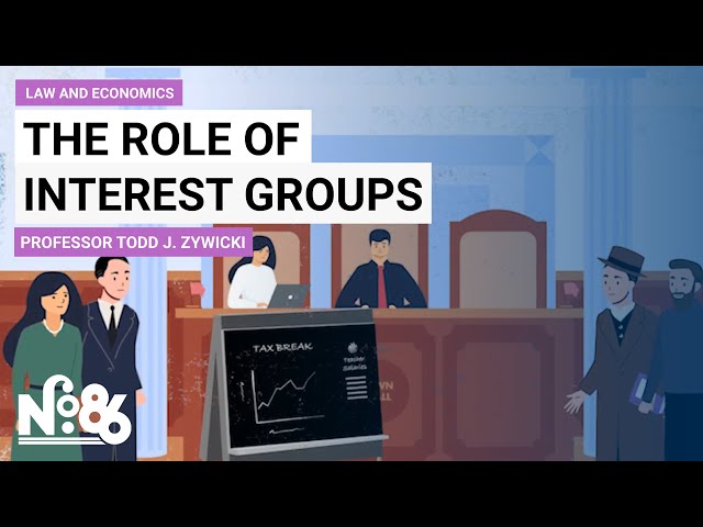 The Role of Interest Groups