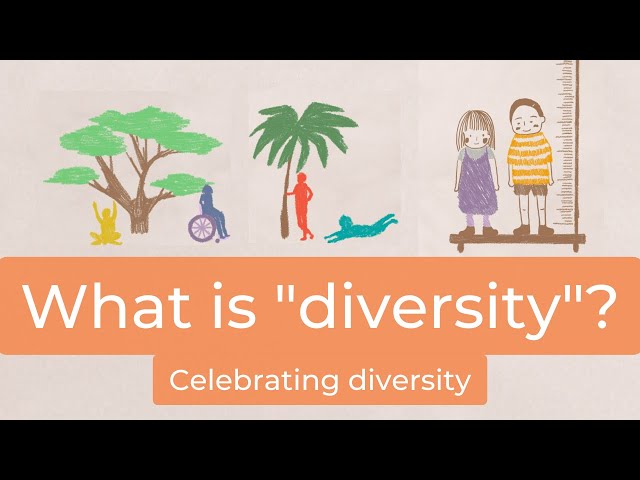 Wat is diversiteit? [Diversiteit voor kinderen]