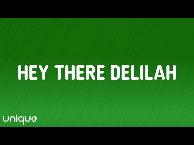 Plain White T's - Hey There Delilah (Lyrics)