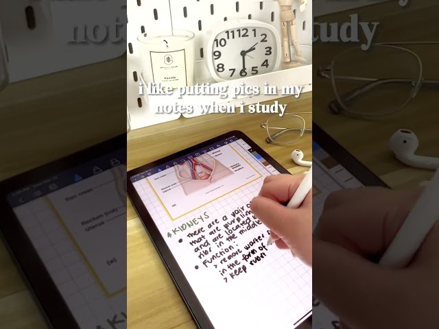 Study with me ---aesthetic School Notes #school #aesthetic #study #trending