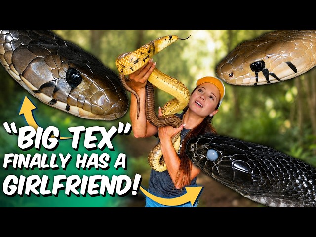 You Won't Believe These New Snakes!