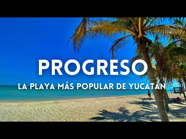 🔥The meteorite that wiped out the dinosaurs hit here PROGRESO Yucatan the closest beach to MERIDA