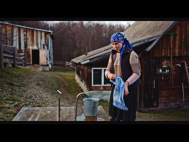 A Quiet Life with Five Children in the Mountains