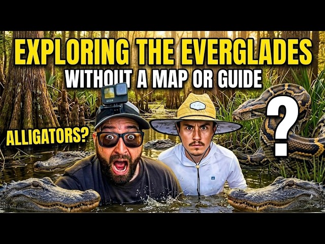 We Explored the Everglades With No Guide! | This Was a Mistake!