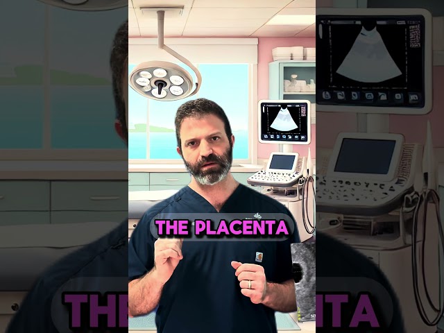 Week 5 of pregnancy #UltrasoundFindings #Week5Pregnancy  #PregnancyMilestones #DoctorExplains