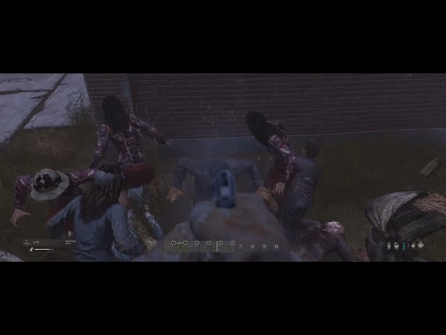 DayZ zombie fun