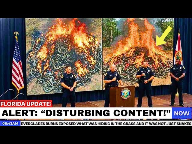 Everglades Burns Exposed What Was Hiding in the Grass and It Was Not Just Snakes