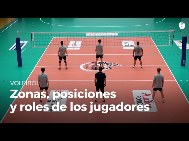 Las zonas, las posiciones y los roles de los jugadores. | Voleibol