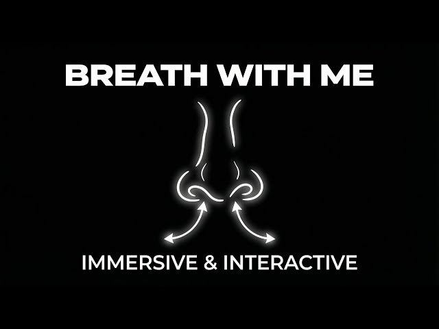 Immersive Interactive Breathing | 2 minutes | Relaxing  | #1