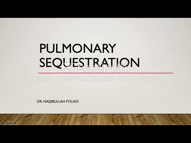 Pulmonary sequestration