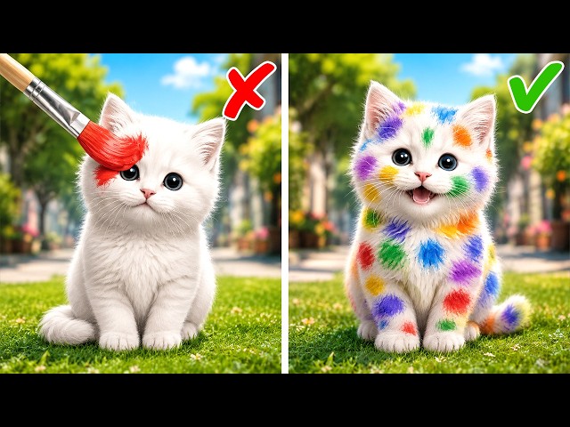 Rescuing Poor Little Kitten 😸 Awesome Hacks and Gadgets to Take Care of Pets! 🐾 Fun DIY Crafts