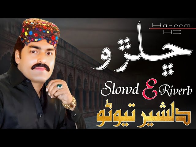 Sindhi New Song | Dilsher Tewno | Challro Dilsher Tewno New Song 2024 | Sindhi Song 2024 | Dilsher