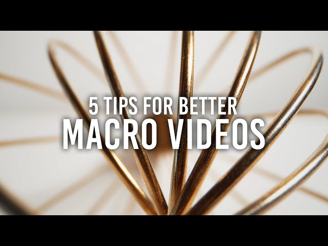 5 Macro Videography Tips with Steve Giralt