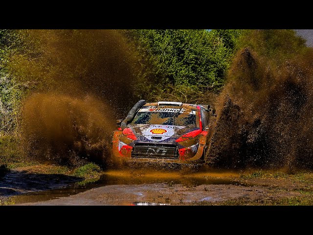 Best of WRC | One Hour of Crashes, Action and Raw Sound