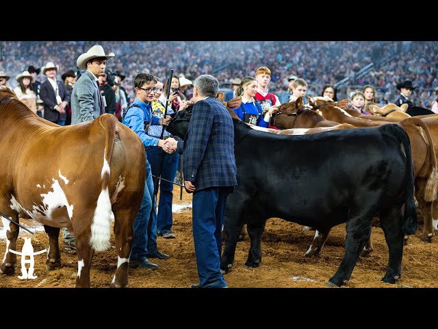 Grand & Reserve Grand Champion Jr. Market Steers selected at the Houston Livestock Show and Rodeo